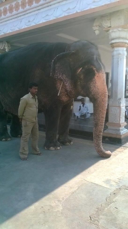 Photo of Manthralayam - A Divine Getaway 8/13 by Sri - that Madras ponnu