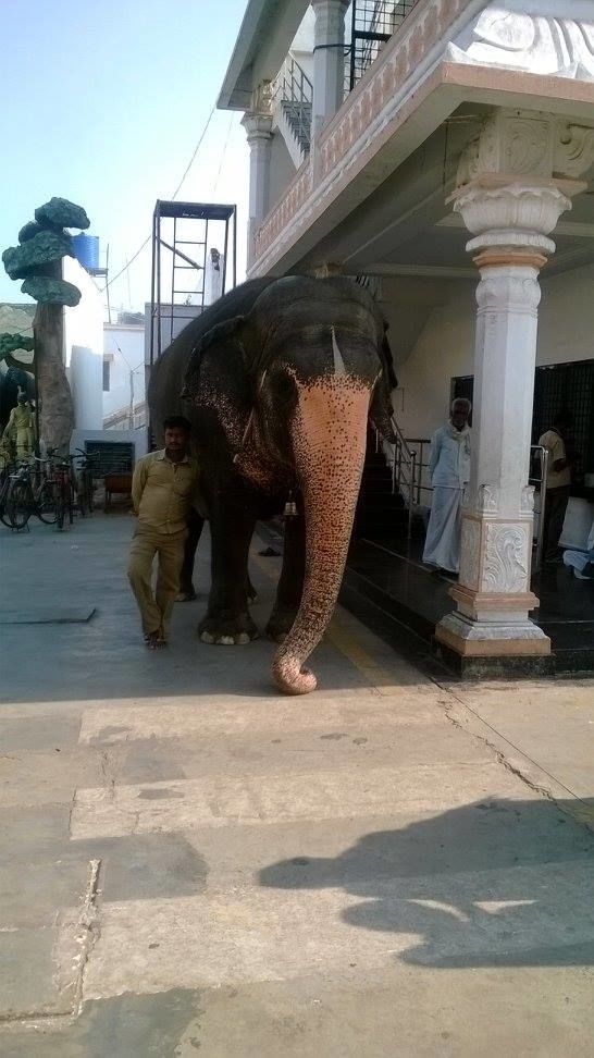 Photo of Manthralayam - A Divine Getaway 7/13 by Sri - that Madras ponnu