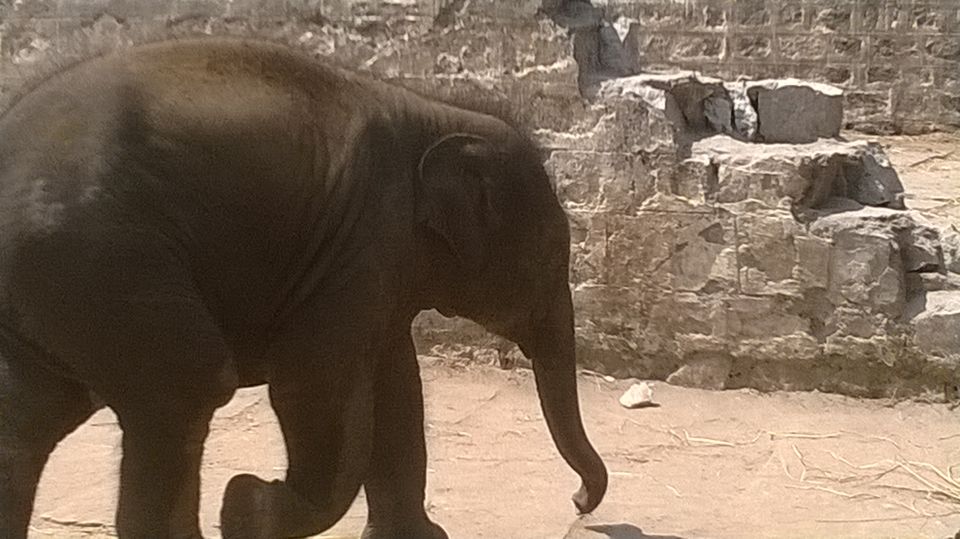 Photo of A Perfectly Adventurous Long Weekend Getaway For 5K From Chennai 3/6 by Sri - that Madras ponnu