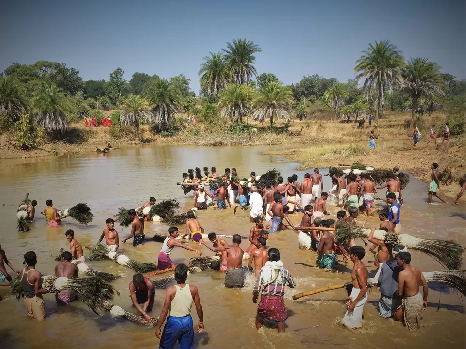 Photo of Ghotpal, Chhattisgarh, India by Mayuri Singh