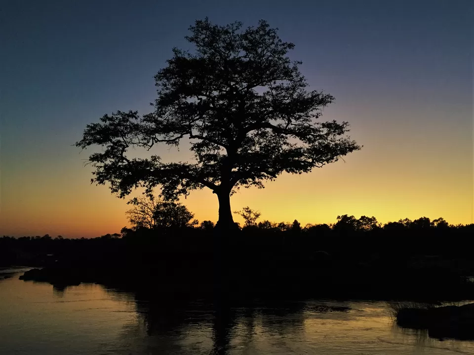 Photo of Dantewada, Chhattisgarh, India by Mayuri Singh