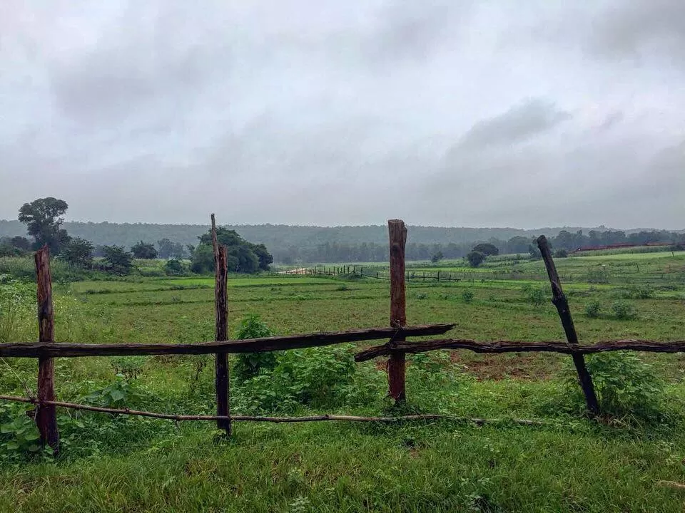 Photo of Koriya, Chhattisgarh, India by Mayuri Singh