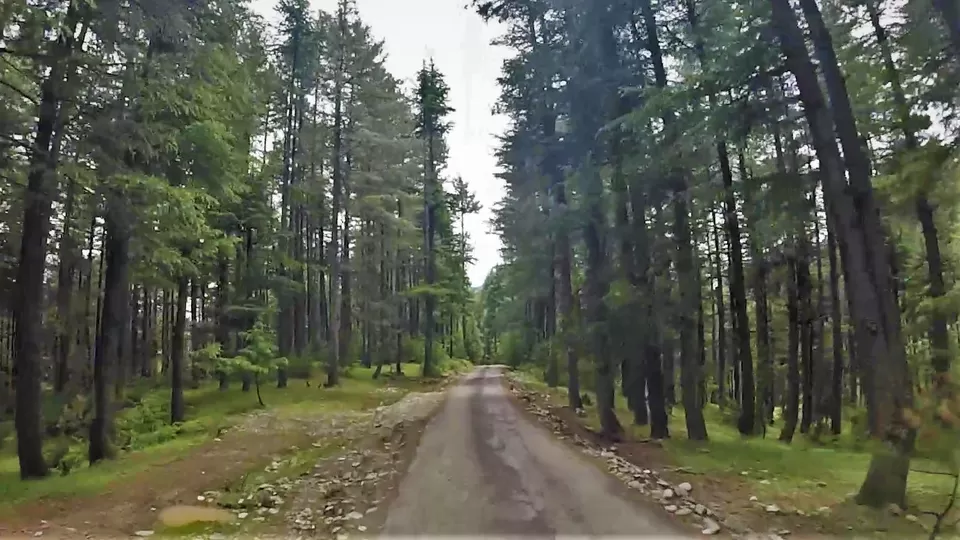 Photo of Warsun by Mayuri Singh