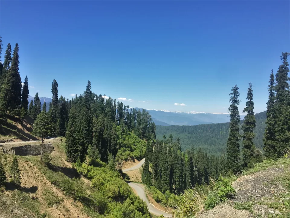 Photo of Chowkibal by Mayuri Singh