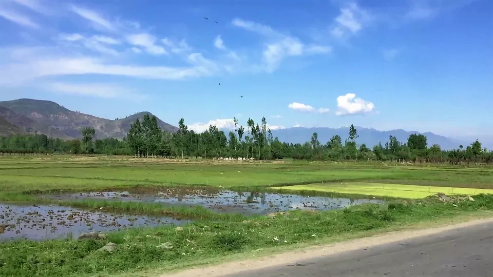 Photo of Sopore by Mayuri Singh