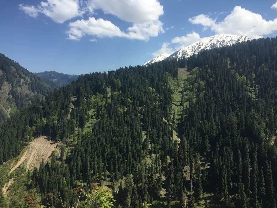 Photo of Chowkibal by Mayuri Singh