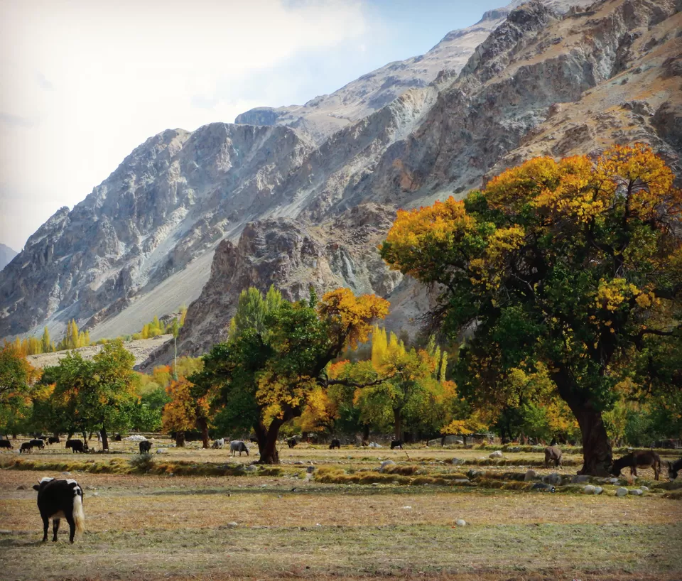 Photo of Turtuk by Mayuri Singh