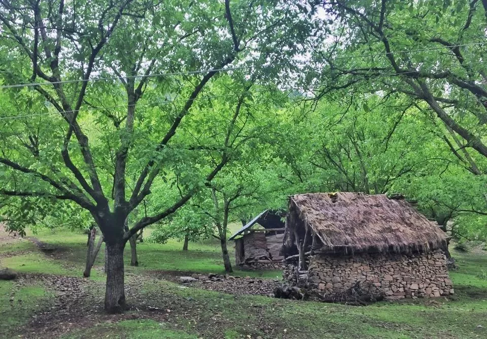 Photo of Chandigam by Mayuri Singh