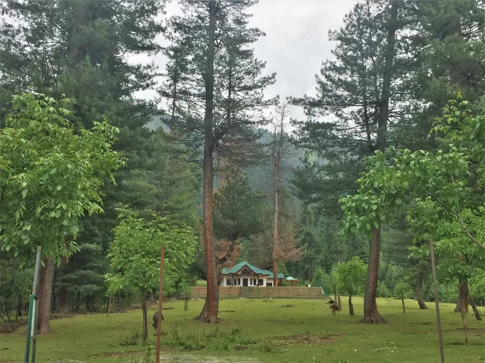 Photo of Nagmarg Camping Cafeteria., Dever Tekipora Road, Sever Thendi Pora by Mayuri Singh