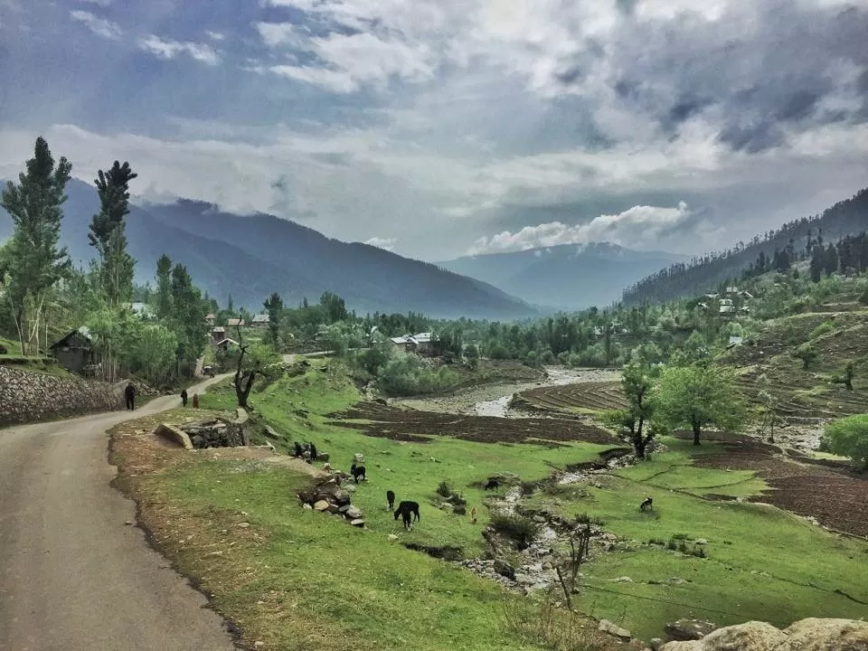 Photo of Lolab- Tekipora Road, Tekipora by Mayuri Singh