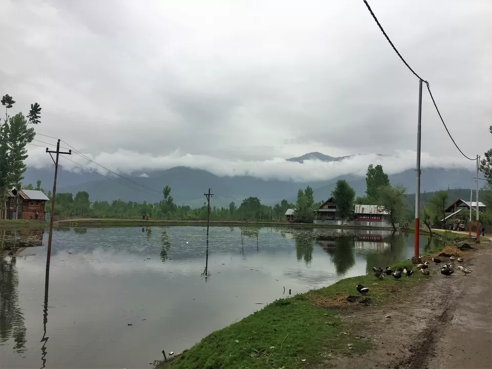 Photo of Sogam by Mayuri Singh