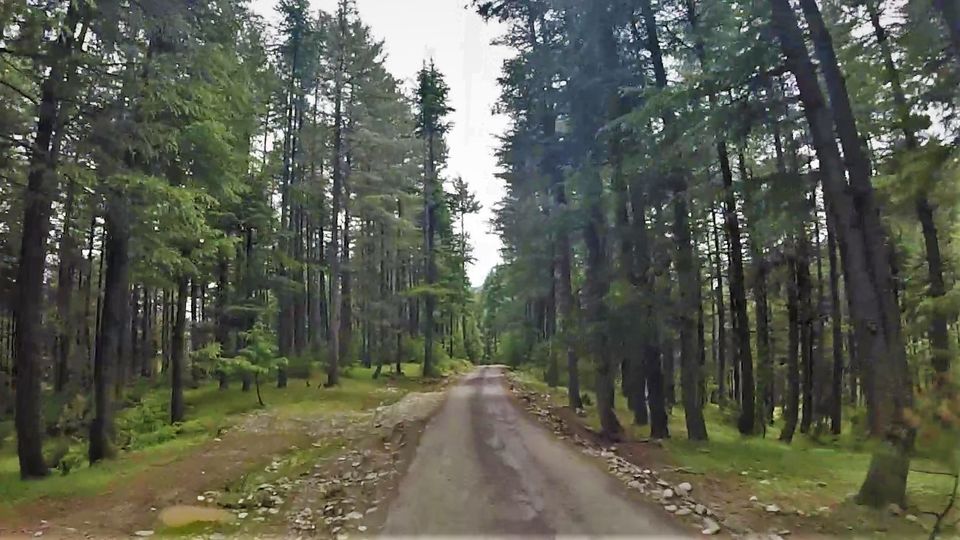 Photo of Tangdhar, Karnah: Journey to the Wild (North) West of Kashmir by Mayuri Singh