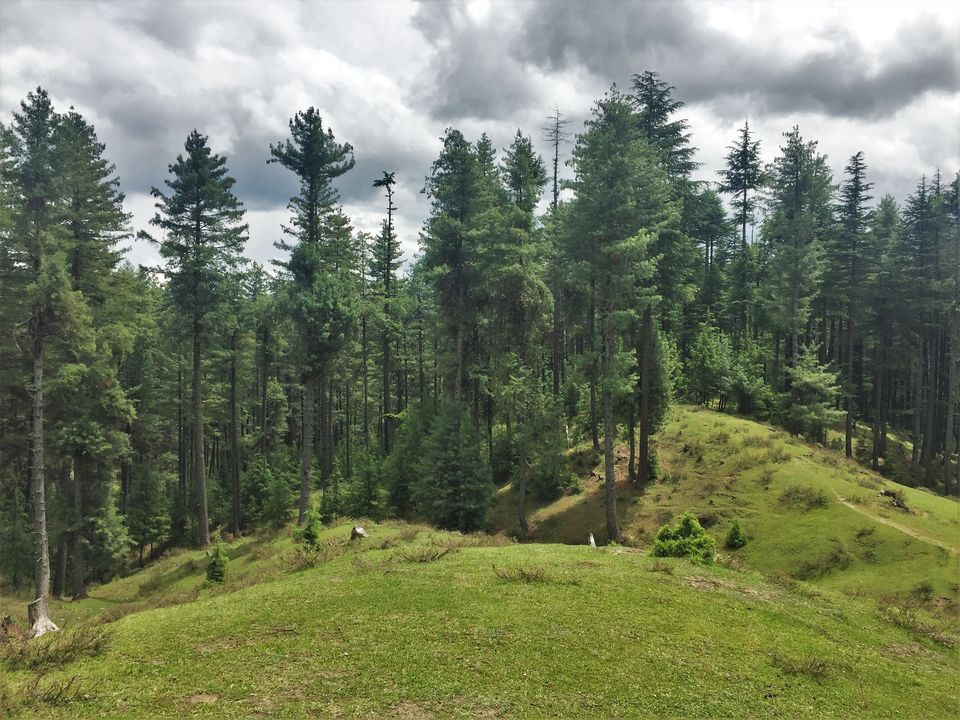 Photo of Tangdhar, Karnah: Journey to the Wild (North) West of Kashmir by Mayuri Singh