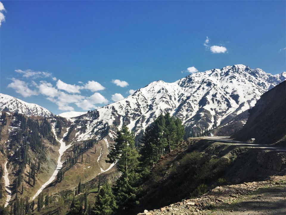 Photo of Sadhna Top by Mayuri Singh