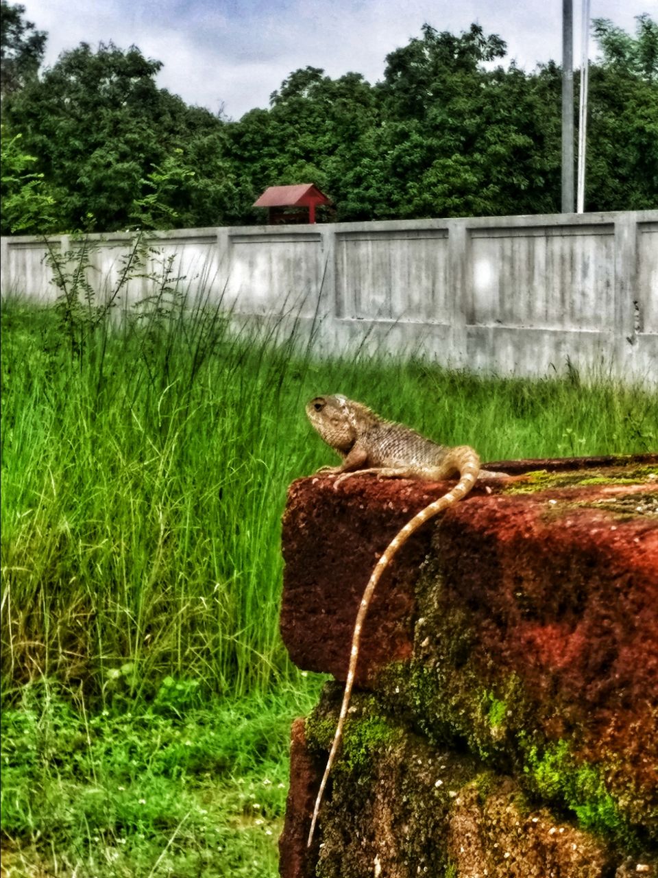 Photo of My journey around Chattisgarh.. by Vikas Uraon