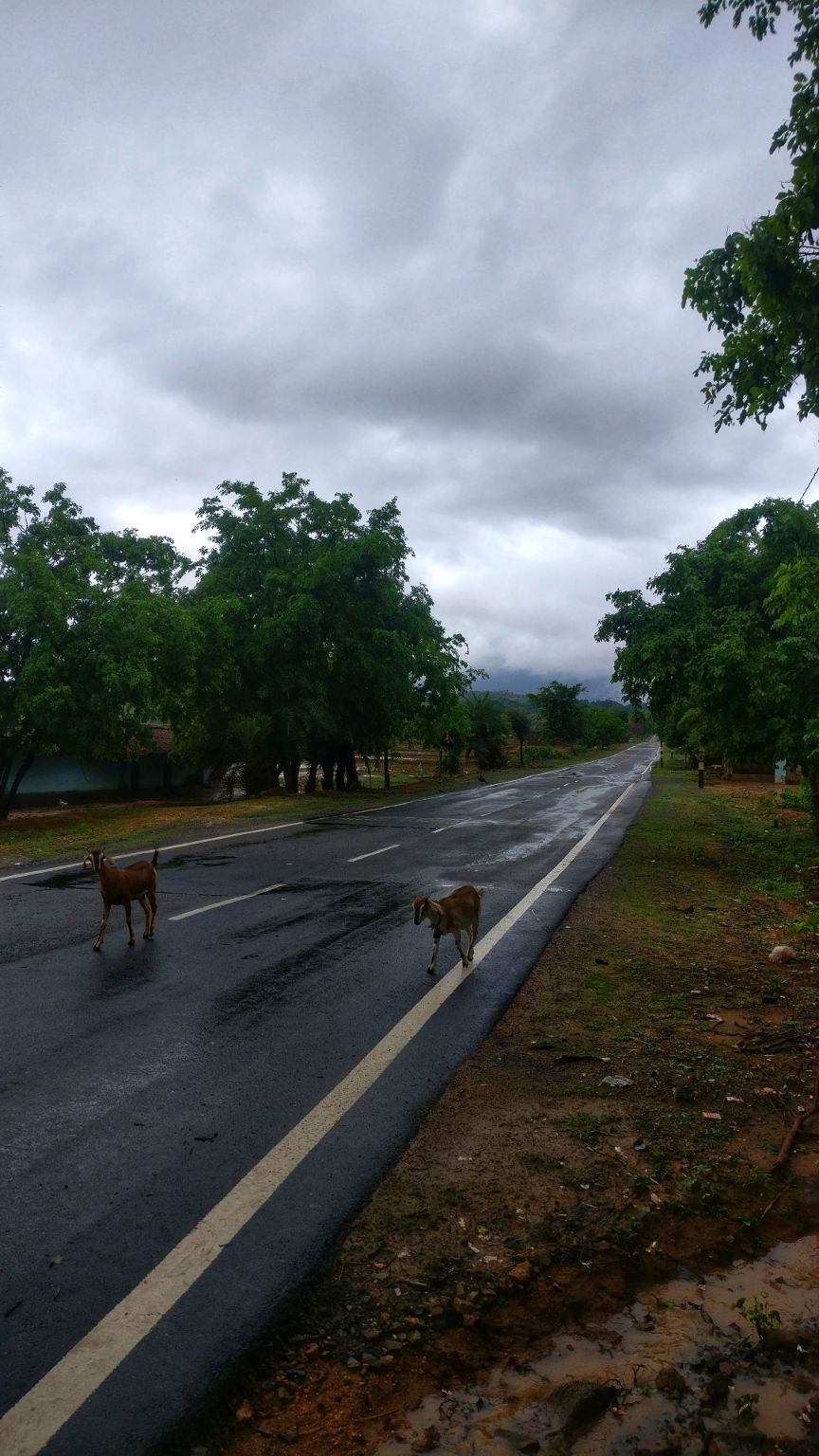 Photo of My journey around Chattisgarh.. by Vikas Uraon