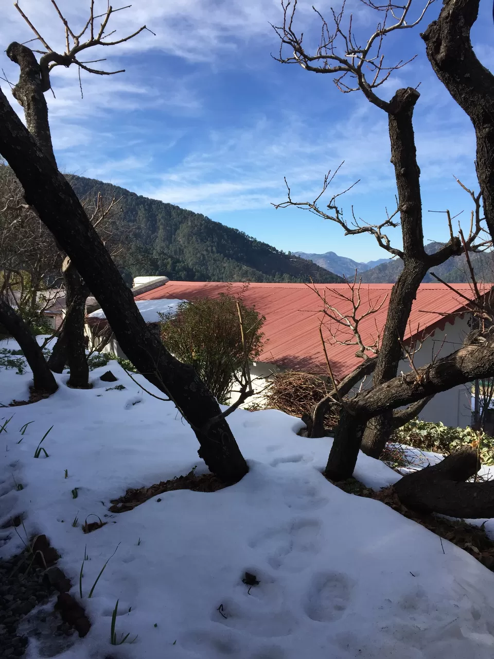 Photo of The Ramgarh Bungalows, Ramgarh, Uttarakhand, India by Rachna Agnihotri