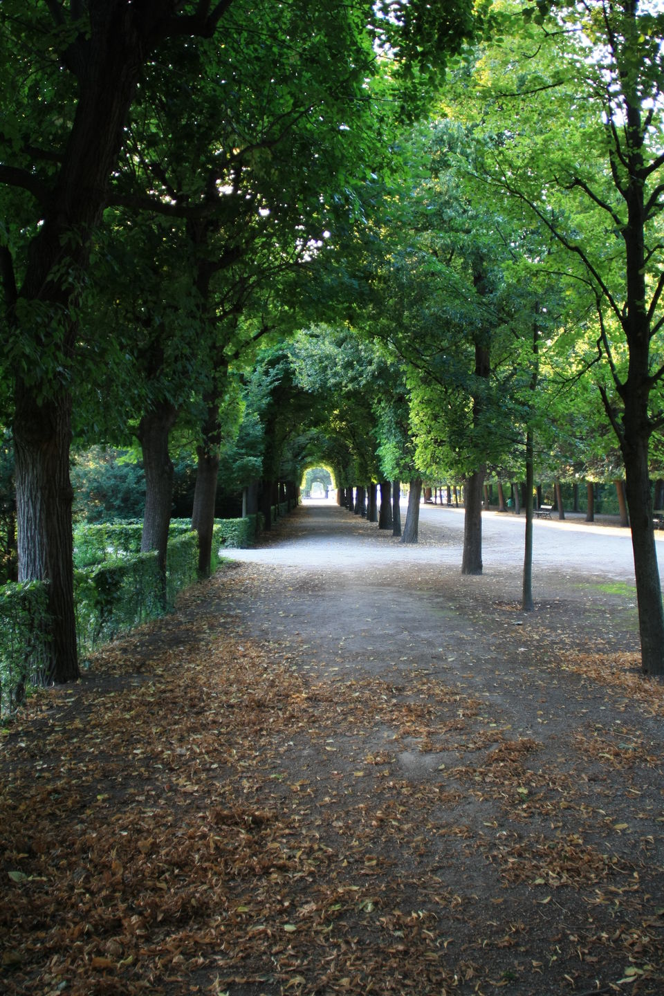 Photo of Vienna - heritage and modernism with a hint of coffee… 3/16 by Rachna Agnihotri