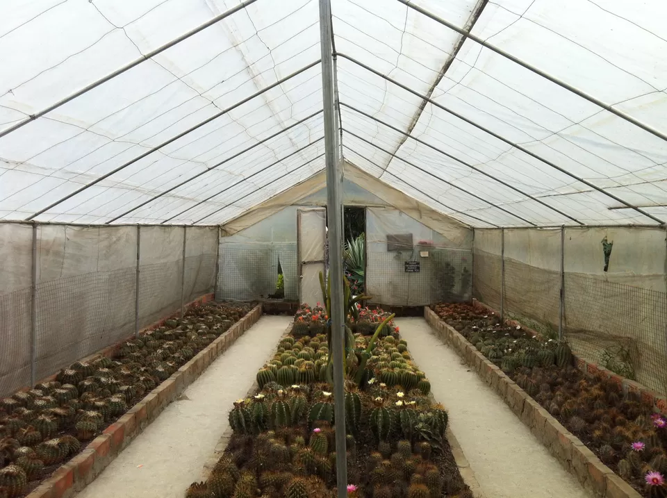 Photo of Kalimpong, West Bengal, India by Rachna Agnihotri