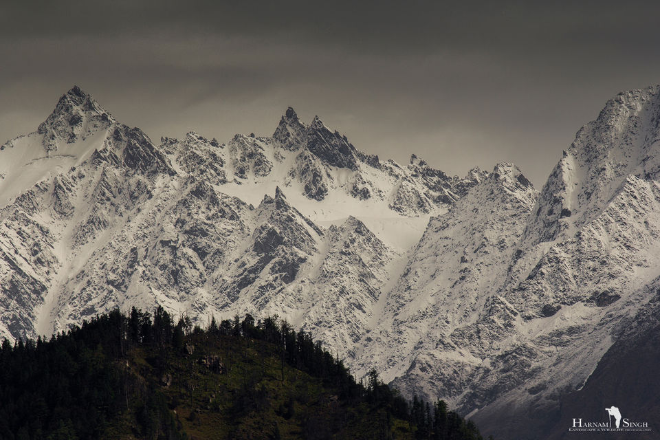 Photo of Traversing Himalayas in enticement- A Trip to Kaza 2/52 by Harnam singh