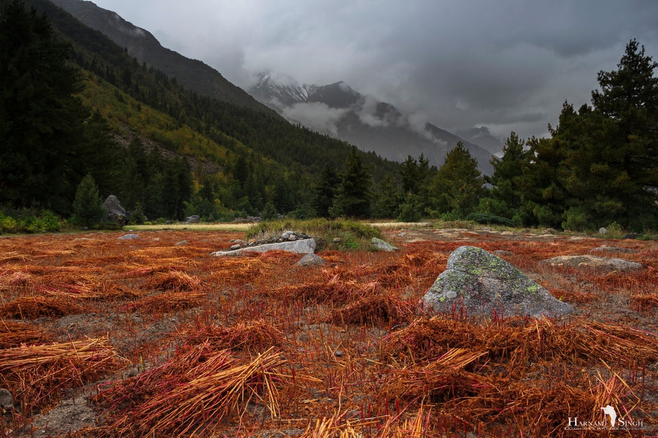 Photo of Traversing Himalayas in enticement- A Trip to Kaza 3/52 by Harnam singh