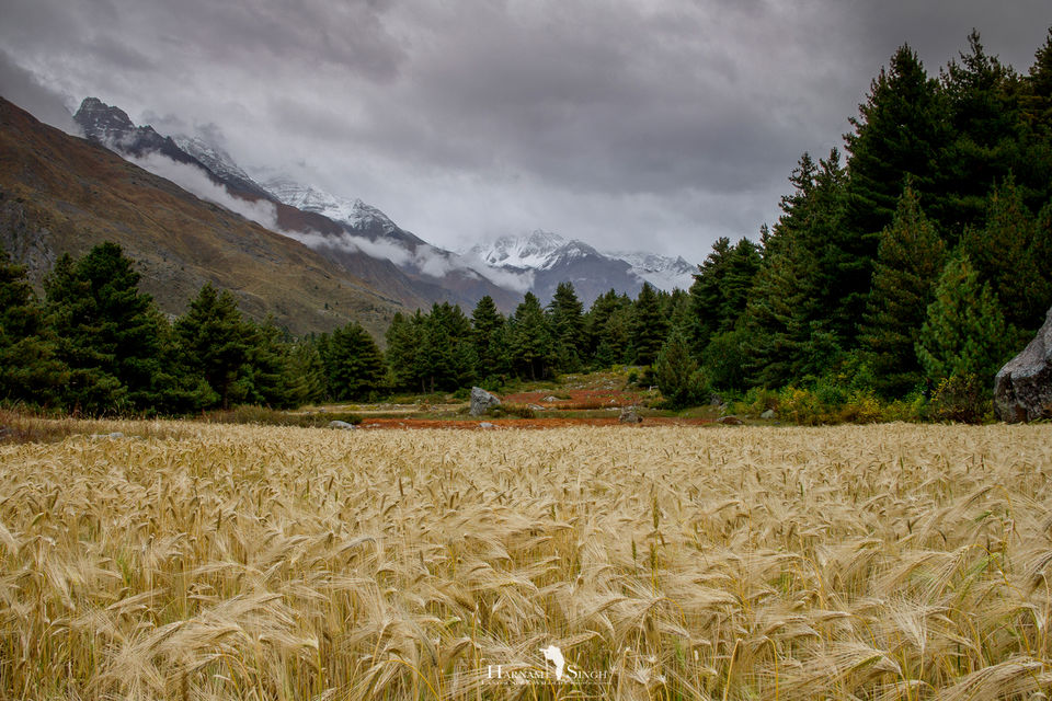 Photo of Traversing Himalayas in enticement- A Trip to Kaza 6/52 by Harnam singh