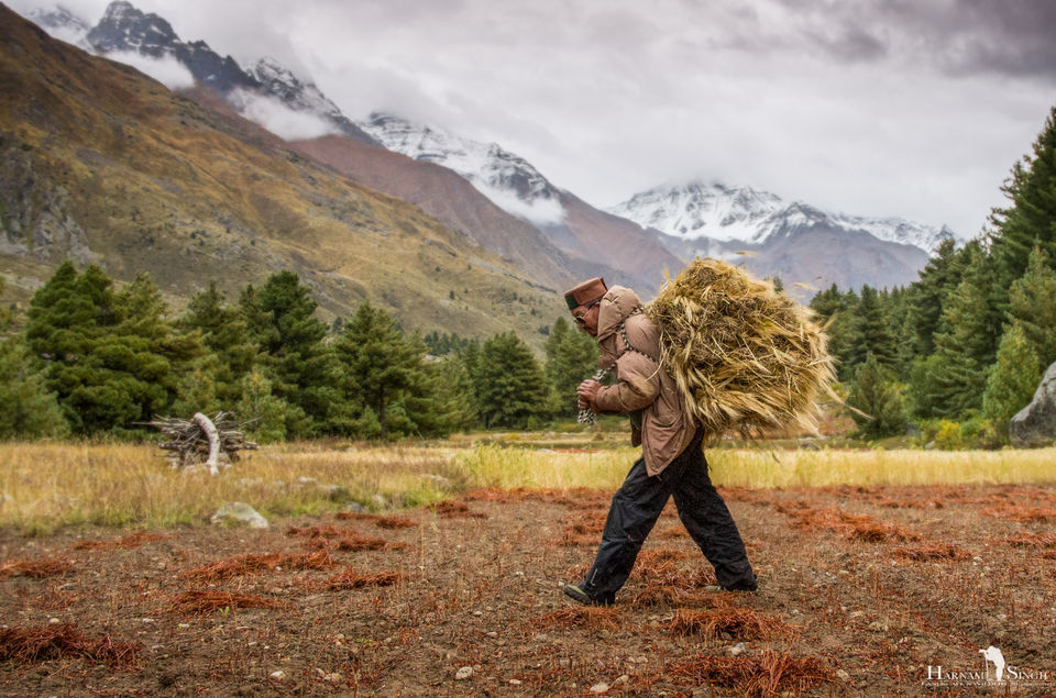 Photo of Traversing Himalayas in enticement- A Trip to Kaza 7/52 by Harnam singh