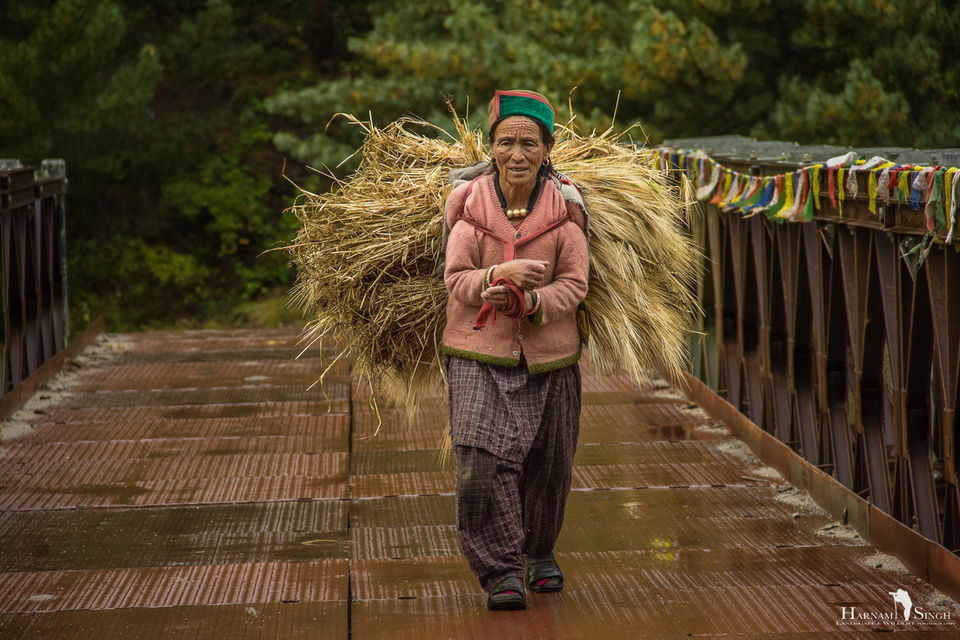 Photo of Traversing Himalayas in enticement- A Trip to Kaza 8/52 by Harnam singh
