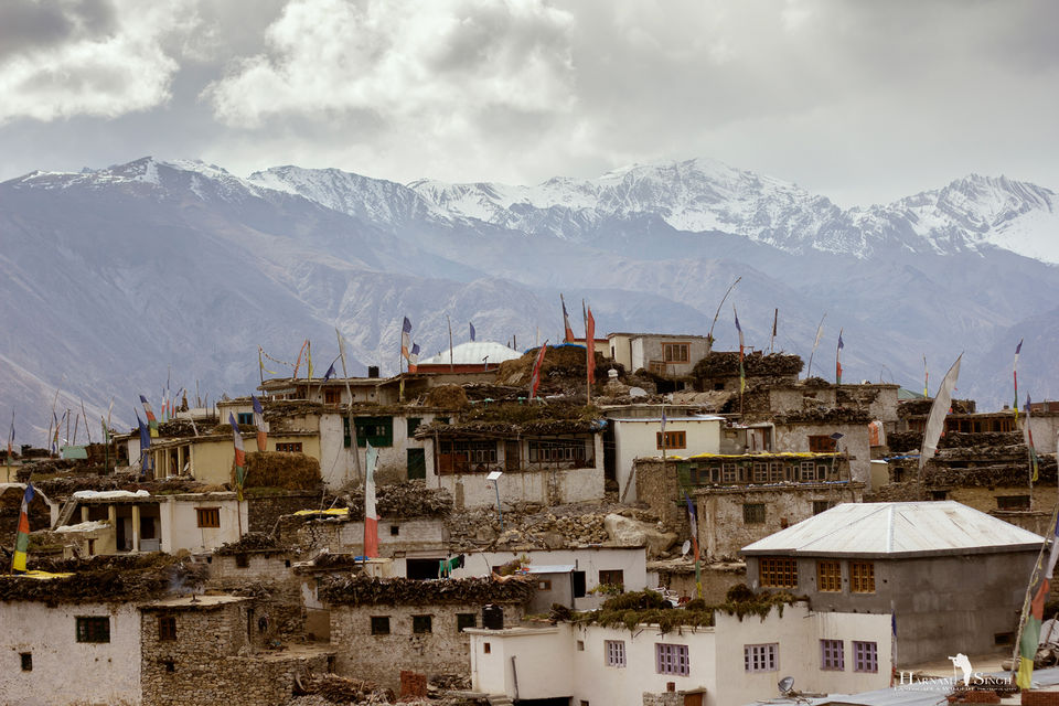 Photo of Traversing Himalayas in enticement- A Trip to Kaza 15/52 by Harnam singh