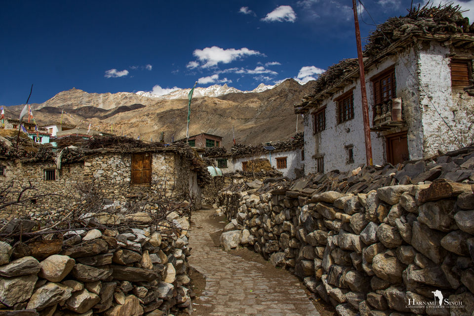 Photo of Traversing Himalayas in enticement- A Trip to Kaza 17/52 by Harnam singh
