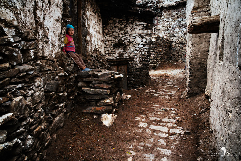 Photo of Traversing Himalayas in enticement- A Trip to Kaza 19/52 by Harnam singh