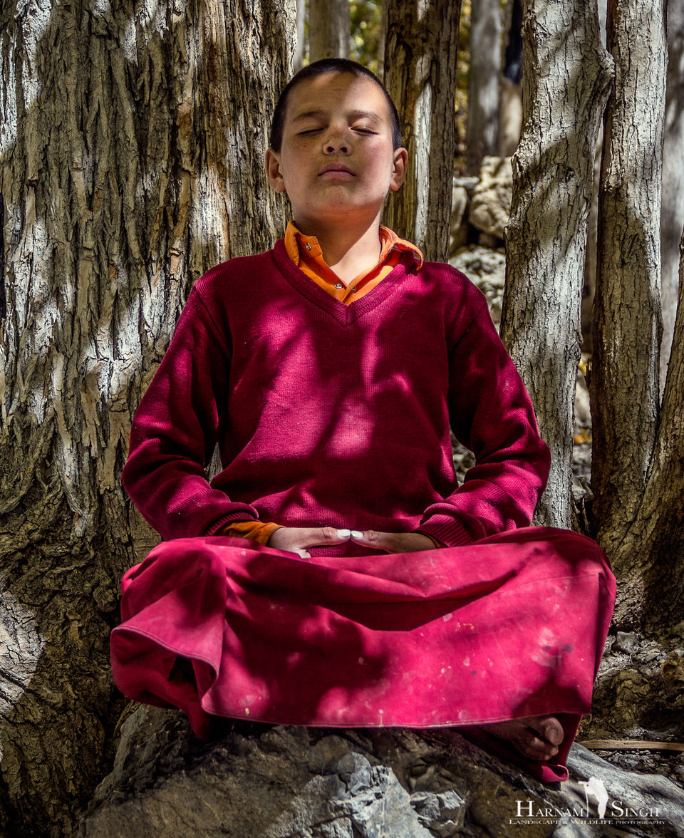 Photo of Traversing Himalayas in enticement- A Trip to Kaza 32/52 by Harnam singh