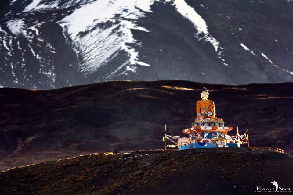 Photo of Traversing Himalayas in enticement- A Trip to Kaza 46/52 by Harnam singh