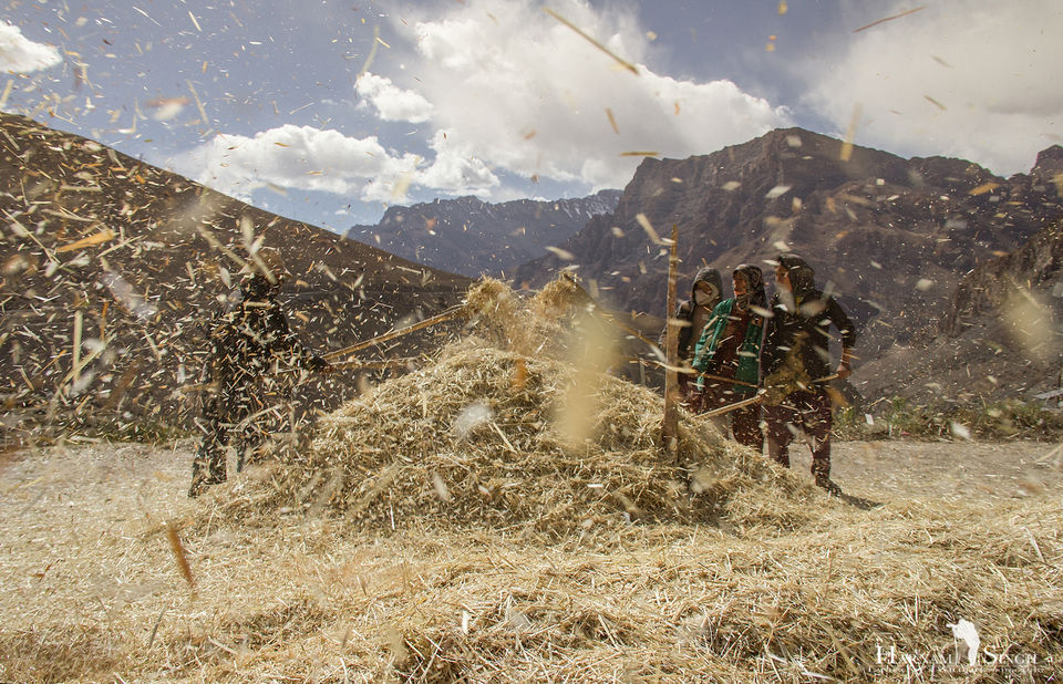 Photo of Traversing Himalayas in enticement- A Trip to Kaza 50/52 by Harnam singh