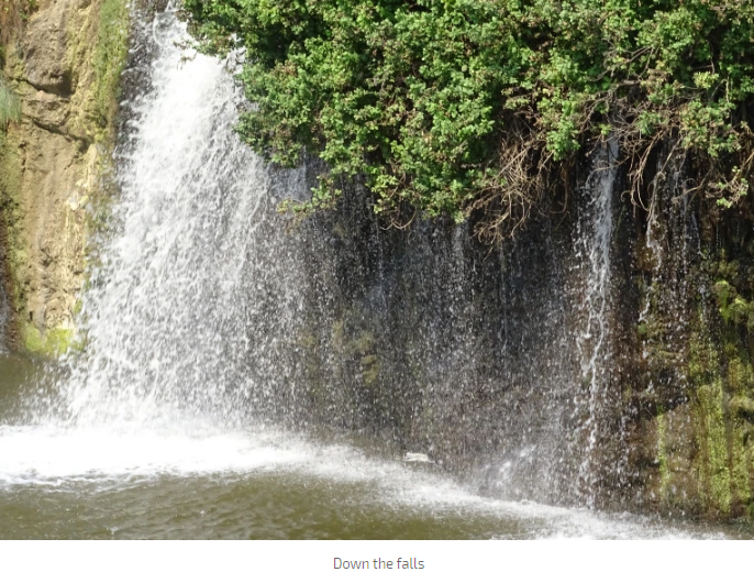 Photo of Chunchi Falls, Kanpura Rural, Karnataka, India by Swaroop Guptha