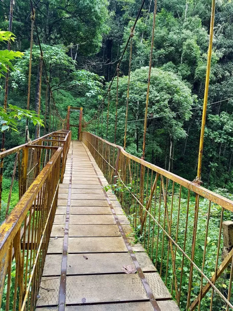 Photo of Abbey Falls Madkeri, Hoskeri, Karnataka, India by Swaroop Guptha