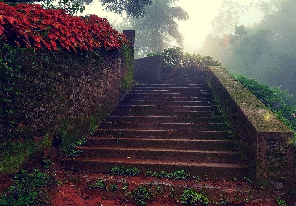 Photo of COORG-MANGALORE : MY DASARA GETAWAY by Swaroop Guptha