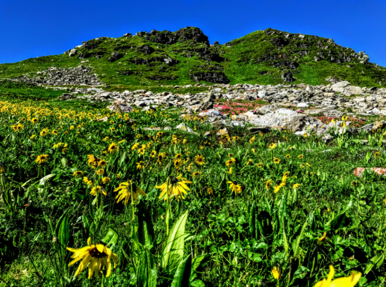 Photo of TREK TO POOL OF GOD'S- BHRIGU LAKE #offbeatplace by Swaroop Guptha