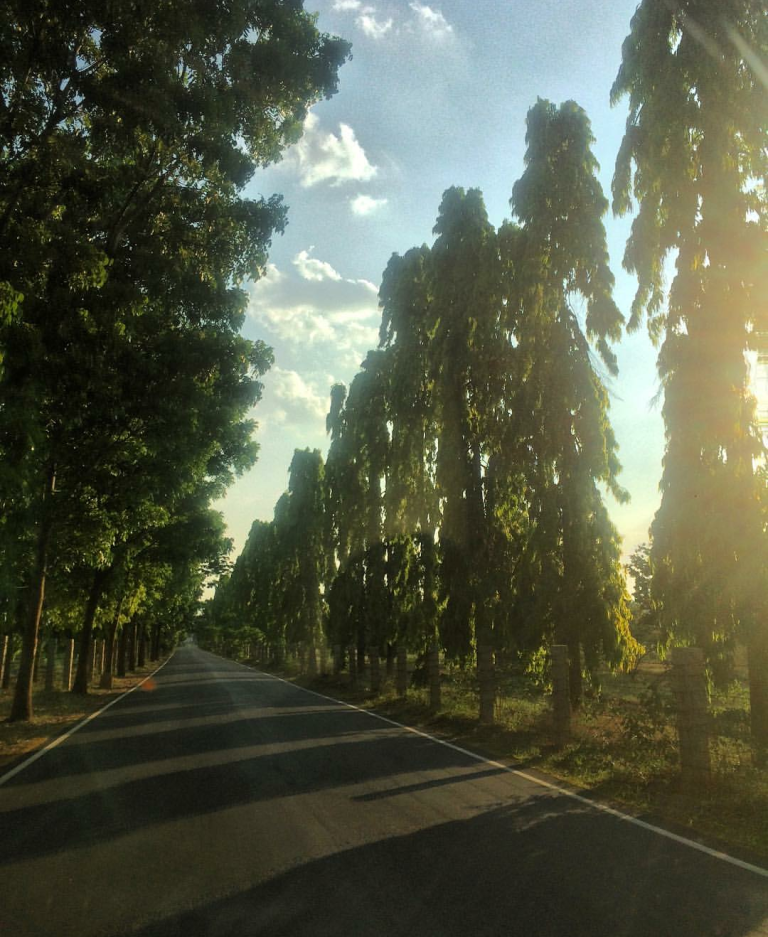 Photo of TAKE A BREAK FROM BENGALURU’S TRAFFIC AND HIT THIS PLACE ! 1/4 by Swaroop Guptha