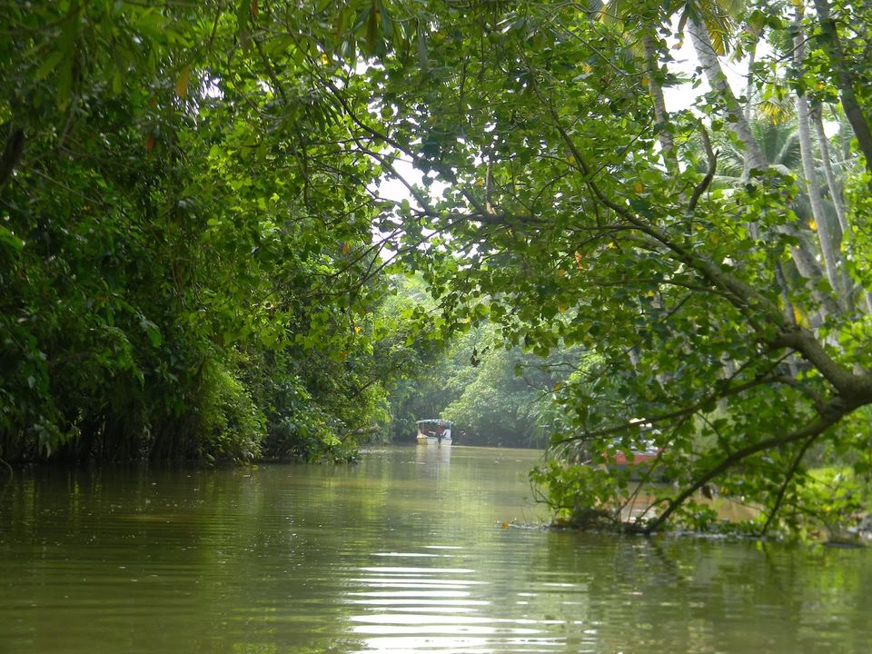 Photo of Photographic Poovar 1/4 by Swaroop Guptha