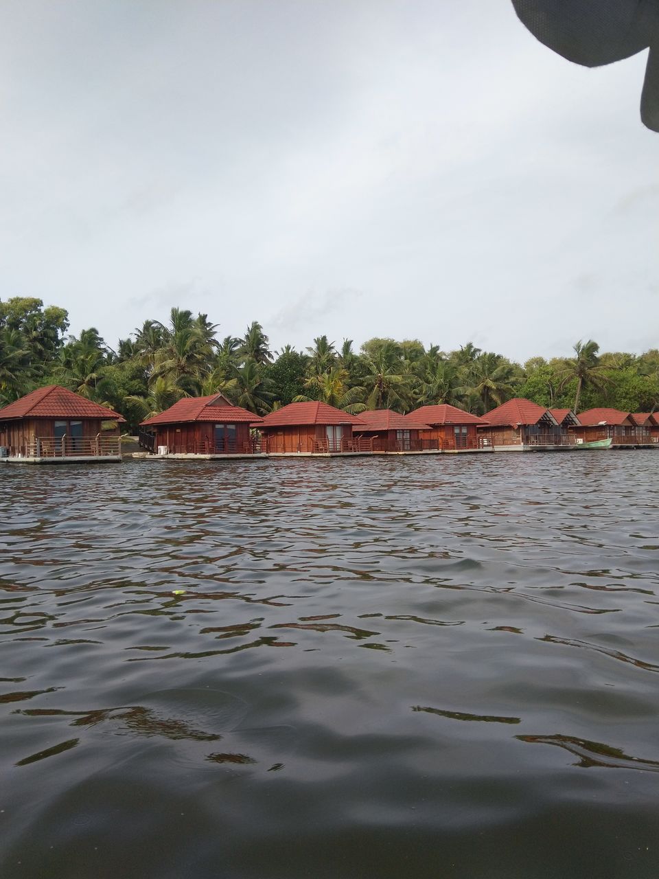 Photo of Photographic Poovar 3/4 by Swaroop Guptha