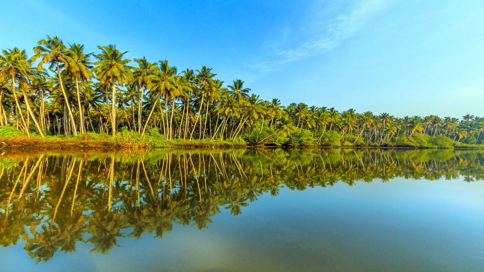 Photo of Photographic Poovar by Swaroop Guptha
