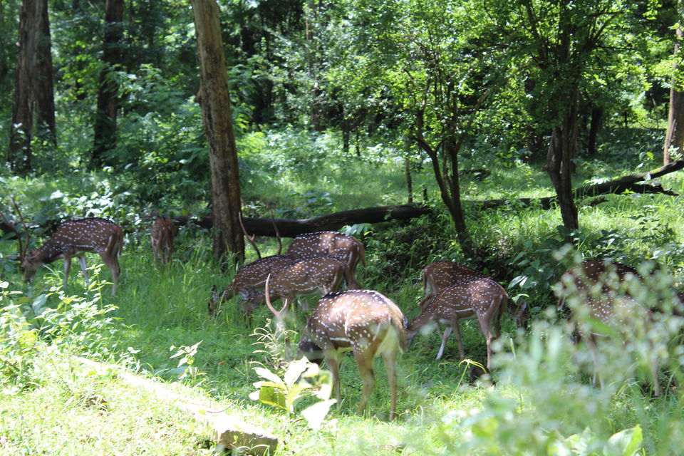 Photo of Lazy weekend at Wayanad, Kerela 1/4 by Ankita