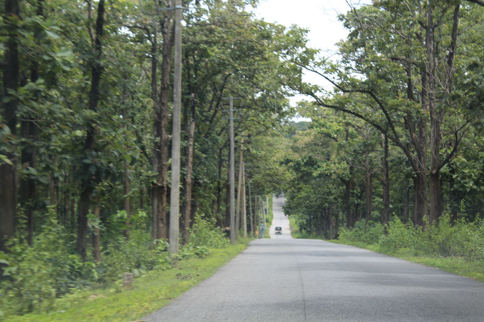 Photo of Lazy weekend at Wayanad, Kerela 2/4 by Ankita