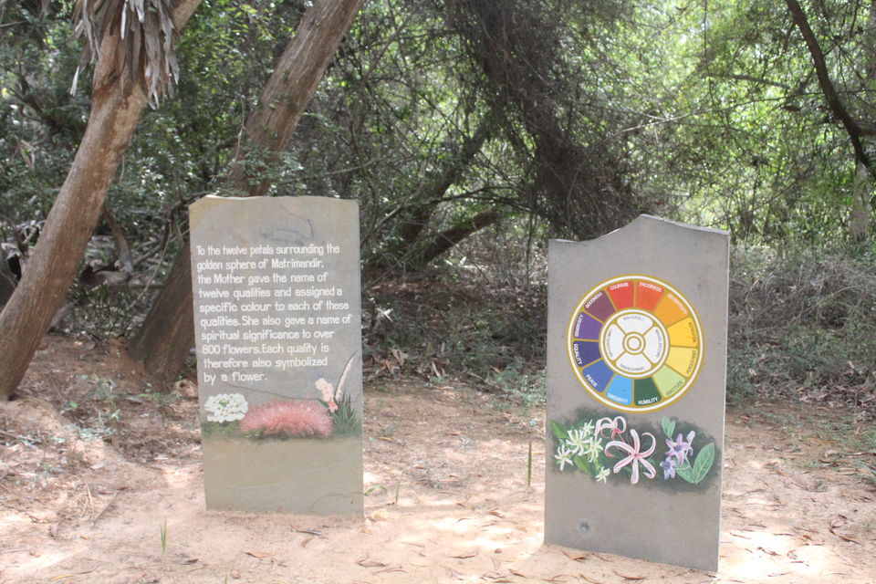 Photo of From the Serene Pondicherry to the Serene Auroville 9/11 by Ankita