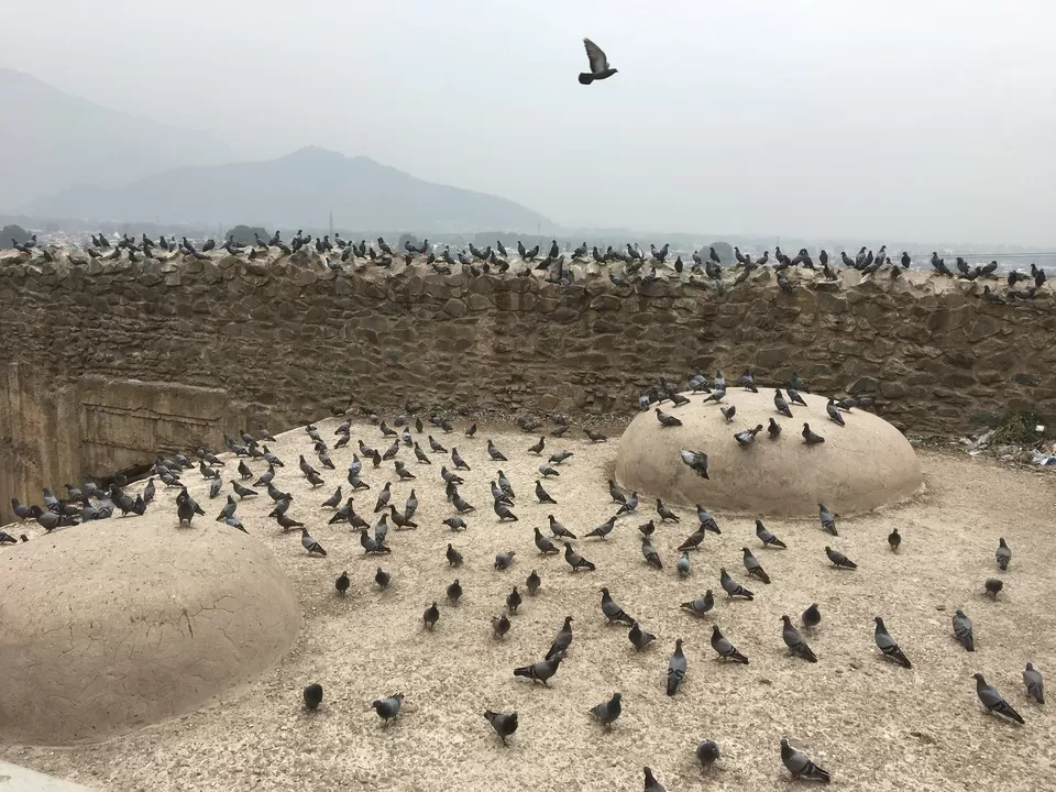 Photo of Jammu and Kashmir by Raouf Dar