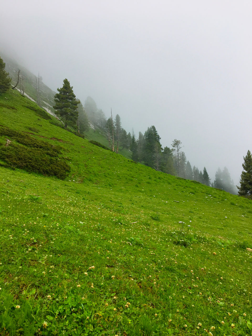 Photo of Nagbaren Maidan by Raouf Dar