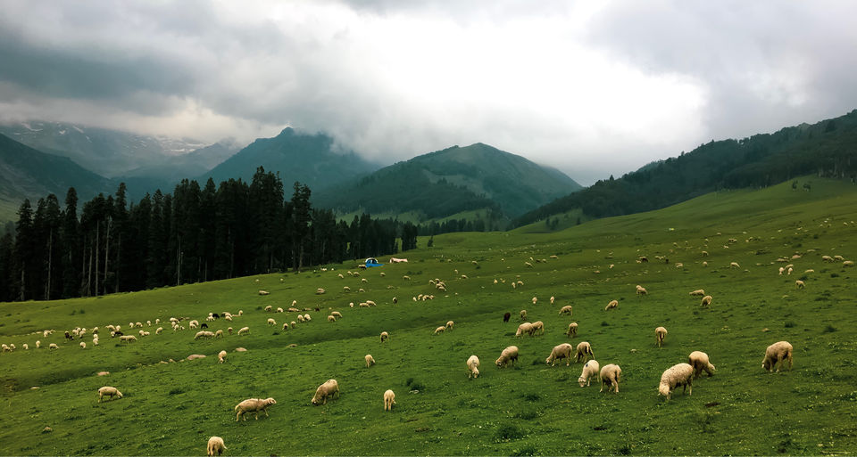 Photo of Nagbaren Maidan by Raouf Dar