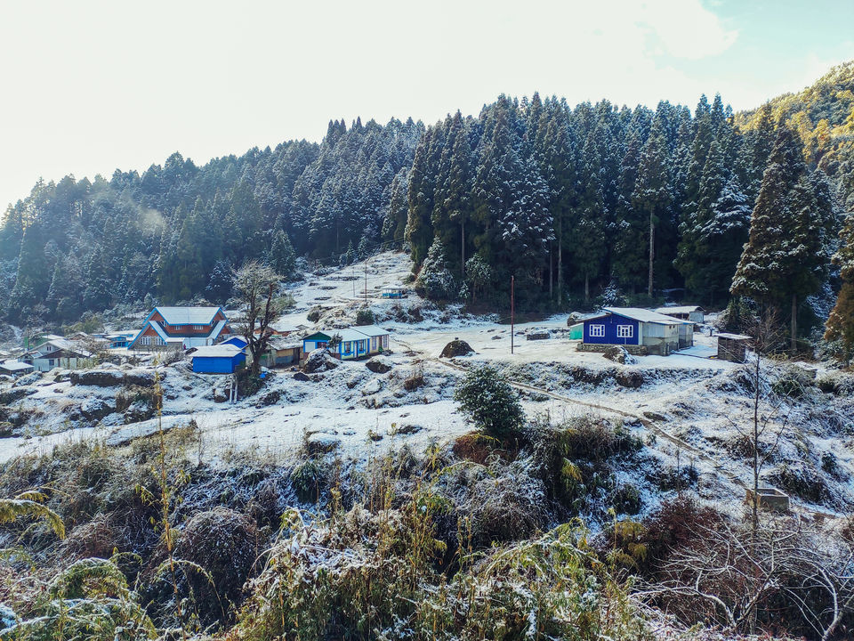 Photo of Home Stay in Sepi Near Srikhola, Rimbick, Darjeeling, West Bengal, India by Sourav Das