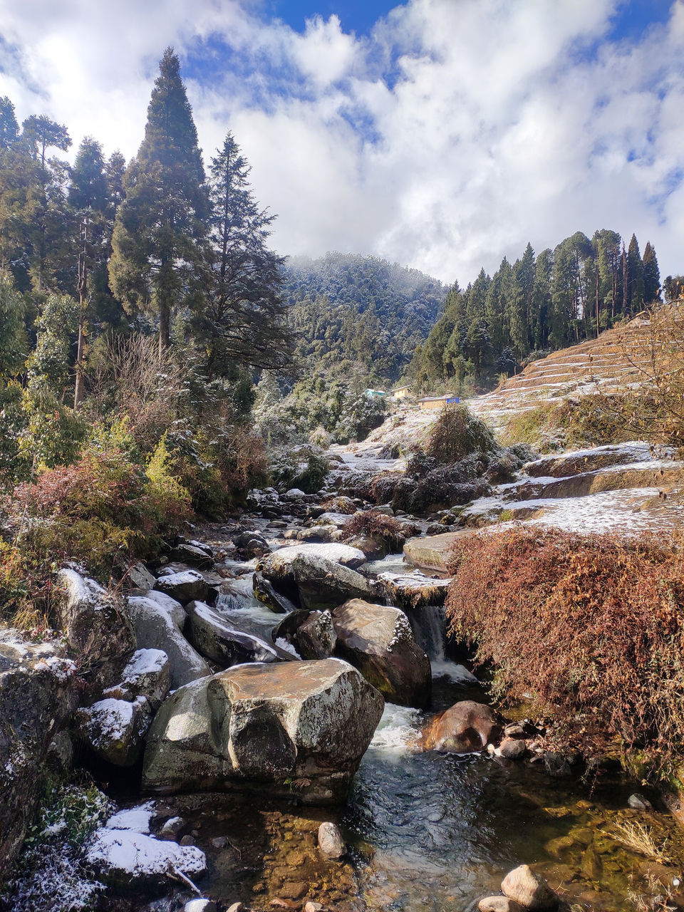 Photo of Home Stay in Sepi Near Srikhola, Rimbick, Darjeeling, West Bengal, India by Sourav Das